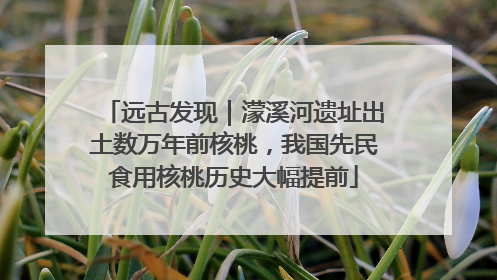 远古发现｜濛溪河遗址出土数万年前核桃，我国先民食用核桃历史大幅提前