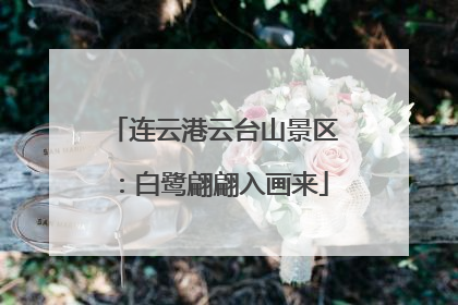 连云港云台山景区：白鹭翩翩入画来