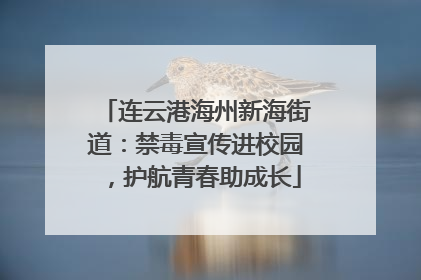 连云港海州新海街道：禁毒宣传进校园，护航青春助成长