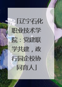 辽宁石化职业技术学院：党建联学共建，政行园企校协同育人