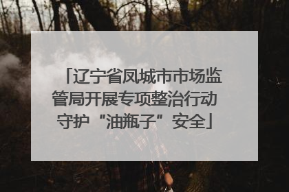 辽宁省凤城市市场监管局开展专项整治行动守护“油瓶子”安全