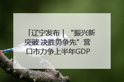 辽宁发布｜“振兴新突破 决胜勇争先”营口市力争上半年GDP增长6%左右