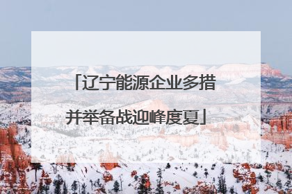辽宁能源企业多措并举备战迎峰度夏