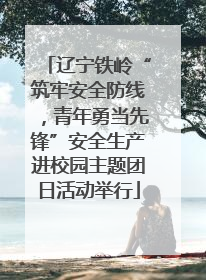 辽宁铁岭“筑牢安全防线，青年勇当先锋”安全生产进校园主题团日活动举行