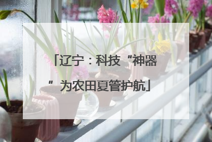 辽宁：科技“神器”为农田夏管护航