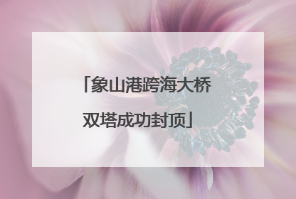 象山港跨海大桥双塔成功封顶