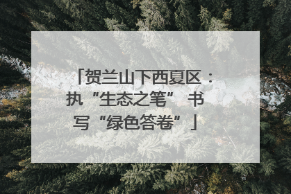 贺兰山下西夏区：执“生态之笔” 书写“绿色答卷”