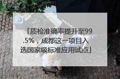 质检准确率提升至99.5%，成都这一项目入选国家级标准应用试点