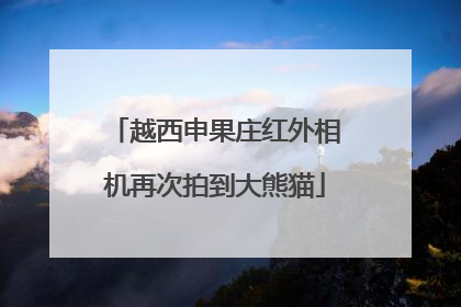 越西申果庄红外相机再次拍到大熊猫