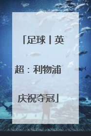 足球丨英超：利物浦庆祝夺冠