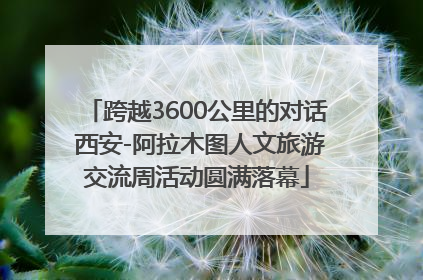 跨越3600公里的对话 西安-阿拉木图人文旅游交流周活动圆满落幕