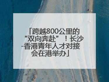 跨越800公里的“双向奔赴”！长沙-香港青年人才对接会在港举办