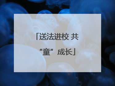 送法进校 共“童”成长