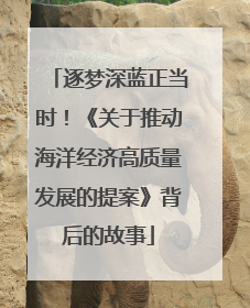 逐梦深蓝正当时！《关于推动海洋经济高质量发展的提案》背后的故事
