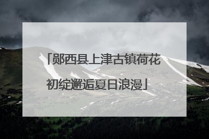 郧西县上津古镇荷花初绽邂逅夏日浪漫