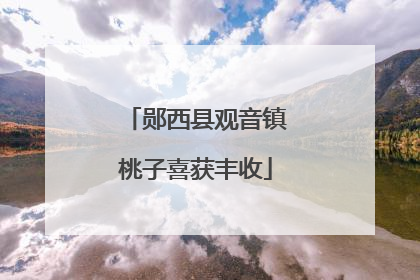 郧西县观音镇桃子喜获丰收
