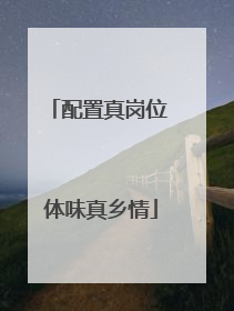 配置真岗位 体味真乡情