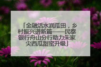 金融活水润瓜田，乡村振兴谱新篇——民泰银行舟山分行助力朱家尖西瓜甜蜜升级