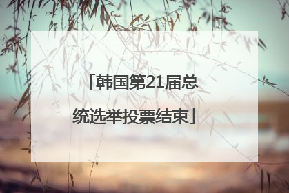 韩国第21届总统选举投票结束