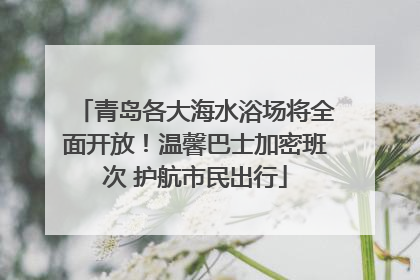 青岛各大海水浴场将全面开放！温馨巴士加密班次 护航市民出行