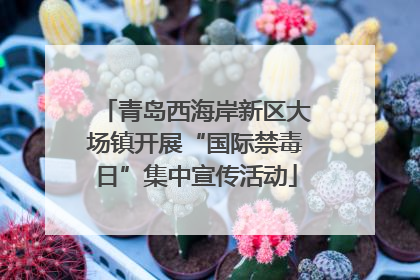 青岛西海岸新区大场镇开展“国际禁毒日”集中宣传活动