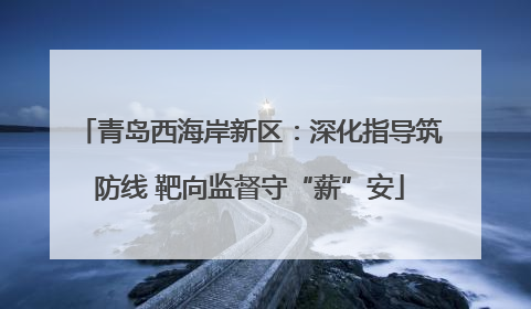 青岛西海岸新区：深化指导筑防线 靶向监督守“薪”安