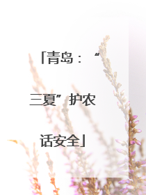 青岛：“三夏”护农话安全
