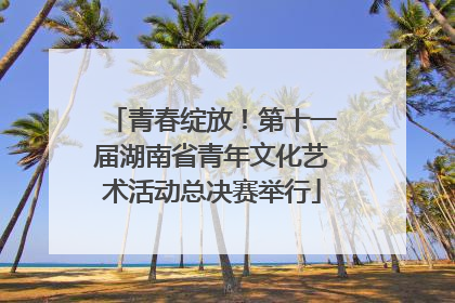 青春绽放！第十一届湖南省青年文化艺术活动总决赛举行