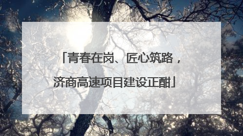 青春在岗、匠心筑路，济商高速项目建设正酣