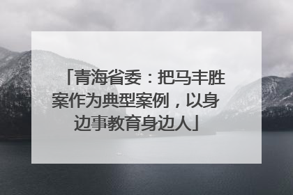 青海省委：把马丰胜案作为典型案例，以身边事教育身边人
