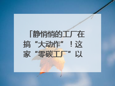 静悄悄的工厂在搞“大动作”！这家“零碳工厂”以“三创三增”探索共富新路径｜网络名人四川行