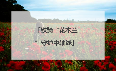 铁骑“花木兰”守护中轴线