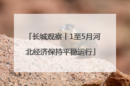 长城观察丨1至5月河北经济保持平稳运行