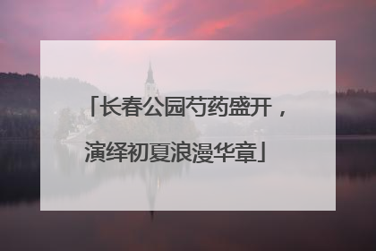 长春公园芍药盛开，演绎初夏浪漫华章