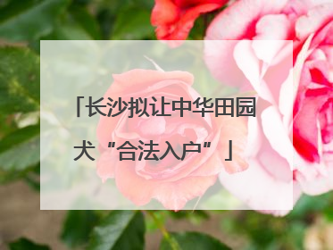 长沙拟让中华田园犬“合法入户”
