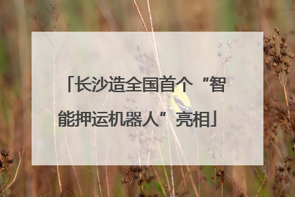 长沙造全国首个“智能押运机器人”亮相
