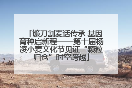 镰刀割麦话传承 基因育种启新程——第十届杨凌小麦文化节见证“颗粒归仓”时空跨越