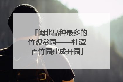闽北品种最多的竹观赏园——杜潭百竹园建成开园