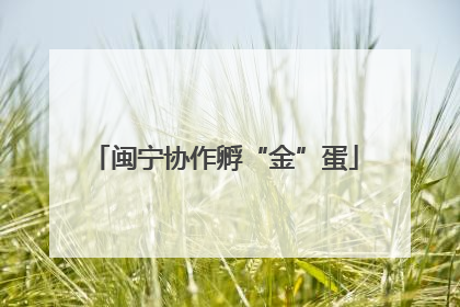 闽宁协作孵“金”蛋