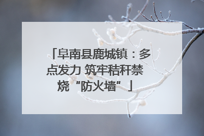 阜南县鹿城镇：多点发力 筑牢秸秆禁烧“防火墙”