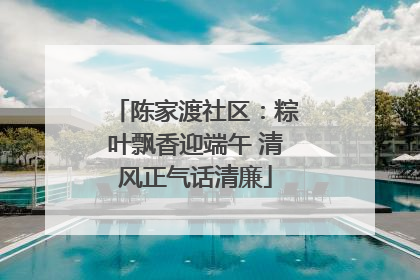 陈家渡社区：粽叶飘香迎端午 清风正气话清廉