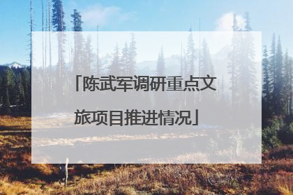 陈武军调研重点文旅项目推进情况
