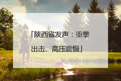陕西省发声：重拳出击、高压震慑