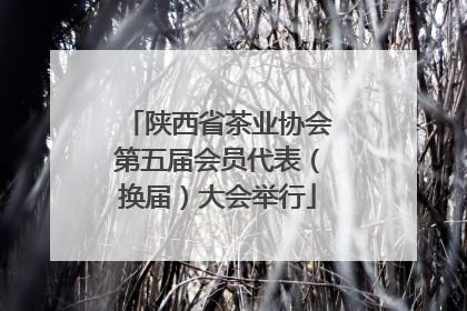 陕西省茶业协会第五届会员代表（换届）大会举行
