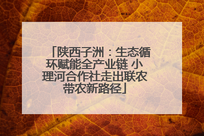 陕西子洲：生态循环赋能全产业链 小理河合作社走出联农带农新路径