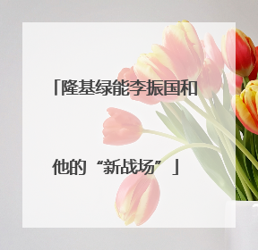 隆基绿能李振国和他的“新战场”