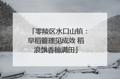 零陵区水口山镇：早稻管理见成效 稻浪飘香穗满田