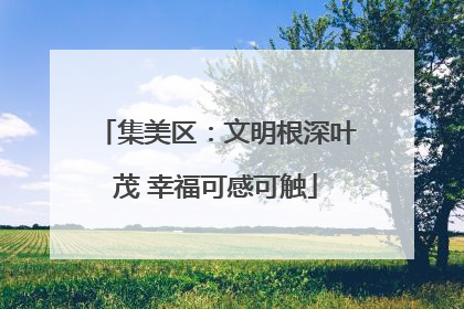 集美区：文明根深叶茂 幸福可感可触