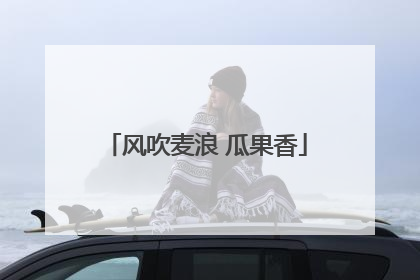 风吹麦浪 瓜果香