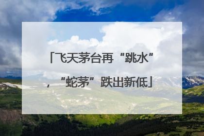 飞天茅台再“跳水”，“蛇茅”跌出新低